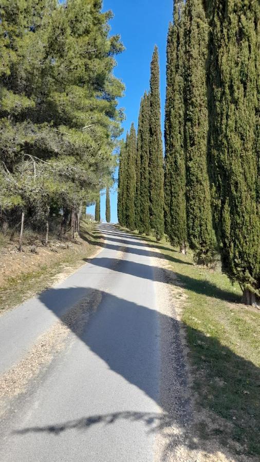 Villa Il Poggio Di Teo Manciano Exterior foto